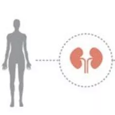 Sawal A Tale Of Two Assays 564X140 Thumb Sawal A Tale Of Two Assays 564X140 Thumb